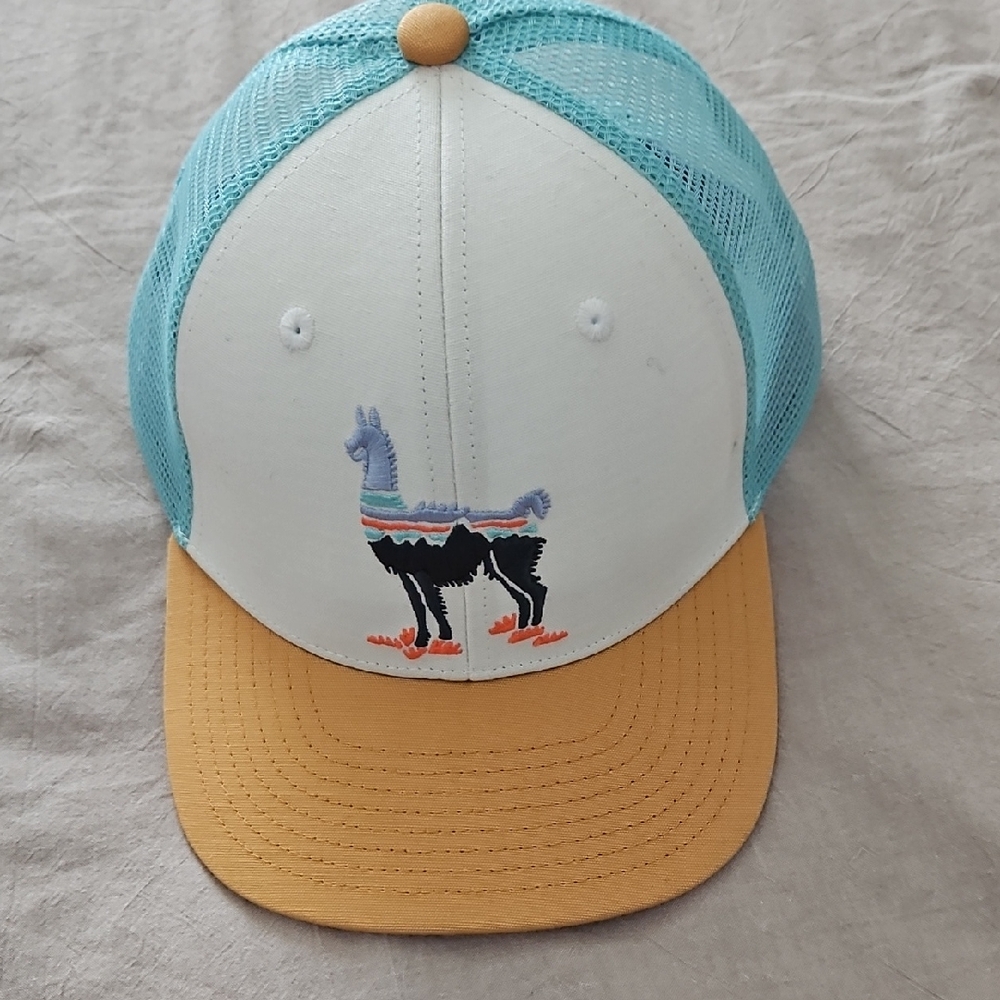 Patagonia Kids' Llama Trucker Hat - Blue and Tan